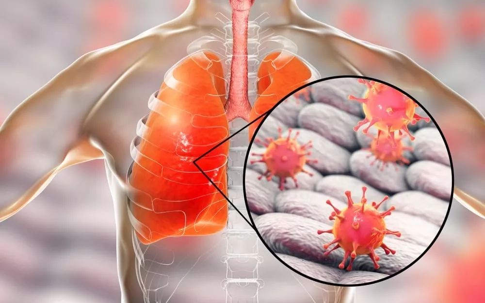 北京国安发布备战花絮，集结日临场应变，欧超杯任务艰巨，医务组通报恢复的简单介绍